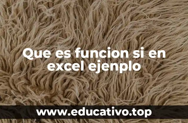 Que es funcion si en excel ejenplo