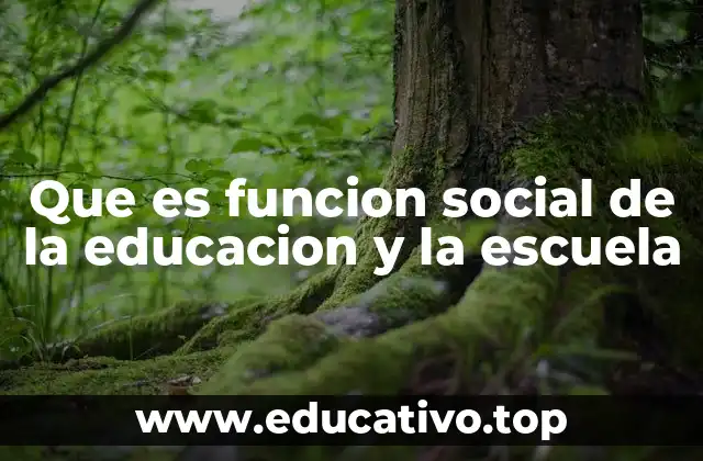 Que es funcion social de la educacion y la escuela