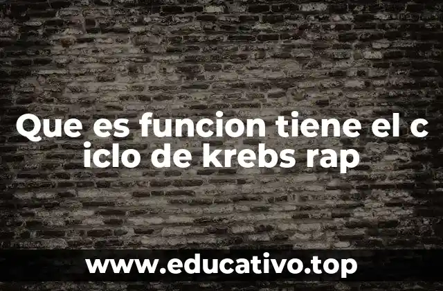 Que es funcion tiene el c iclo de krebs rap