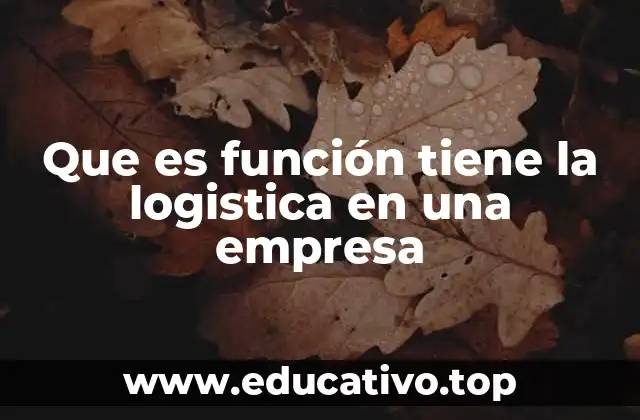 Que es función tiene la logistica en una empresa