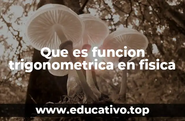 Aplicaciones de las funciones trigonométricas en la física