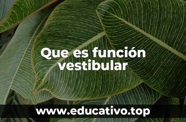 Que es función vestibular