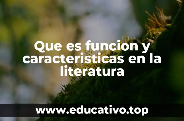 Que es funcion y caracteristicas en la literatura