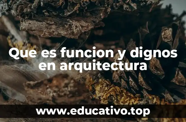 Que es funcion y dignos en arquitectura