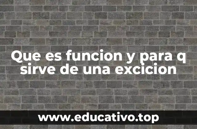 Que es funcion y para q sirve de una excicion