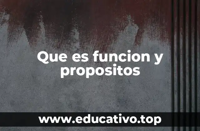 Que es funcion y propositos