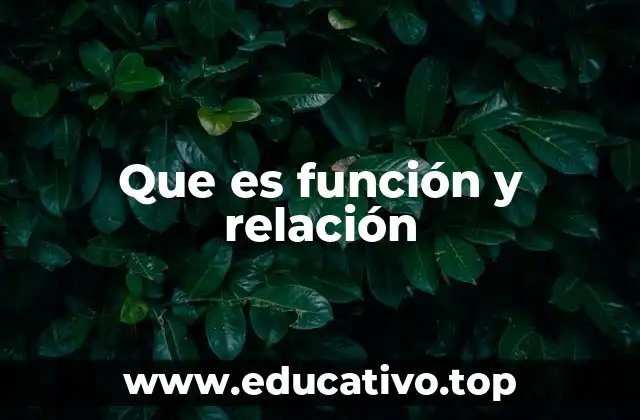 Cómo se diferencian los conceptos de función y relación