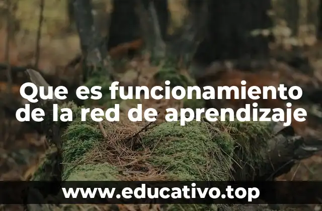 Que es funcionamiento de la red de aprendizaje