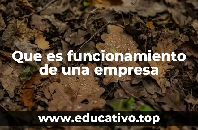Que es funcionamiento de una empresa