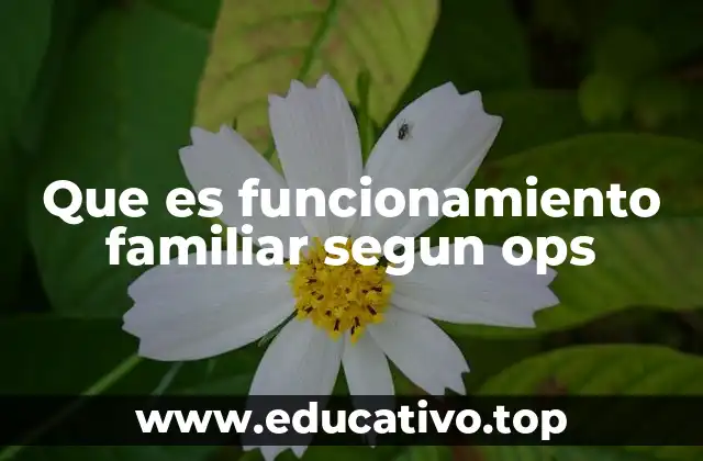Que es funcionamiento familiar segun ops