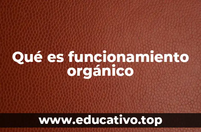Qué es funcionamiento orgánico