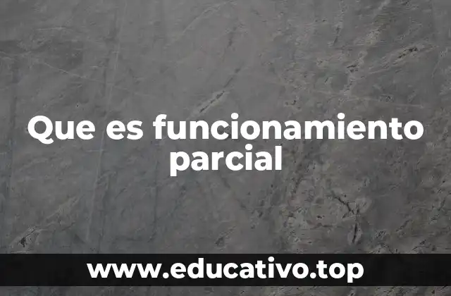 Que es funcionamiento parcial