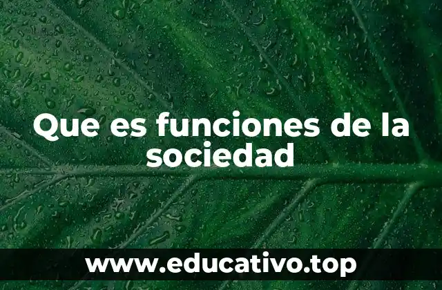 Que es funciones de la sociedad