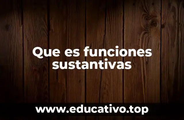 Que es funciones sustantivas