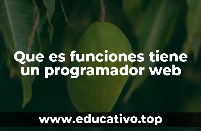 Que es funciones tiene un programador web