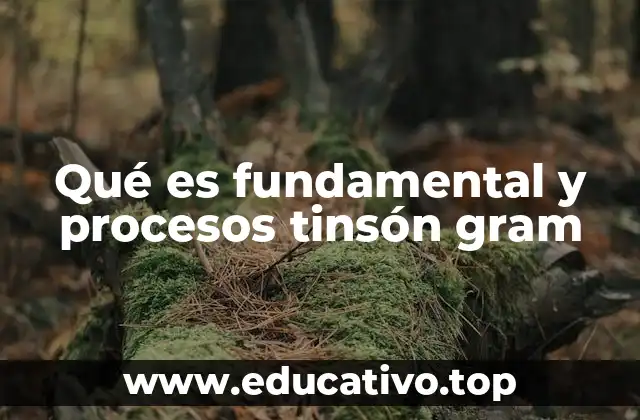 Qué es fundamental y procesos tinsón gram