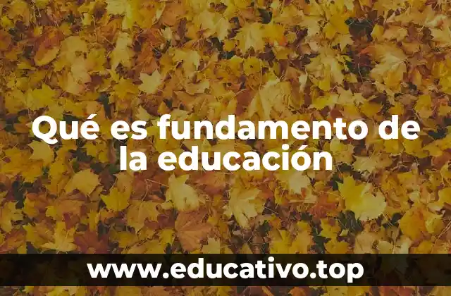 Qué es fundamento de la educación