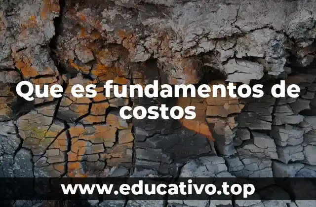 Que es fundamentos de costos