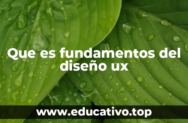 Que es fundamentos del diseño ux