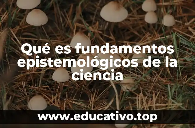 Qué es fundamentos epistemológicos de la ciencia