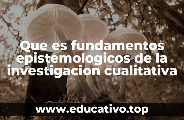 Que es fundamentos epistemologicos de la investigacion cualitativa