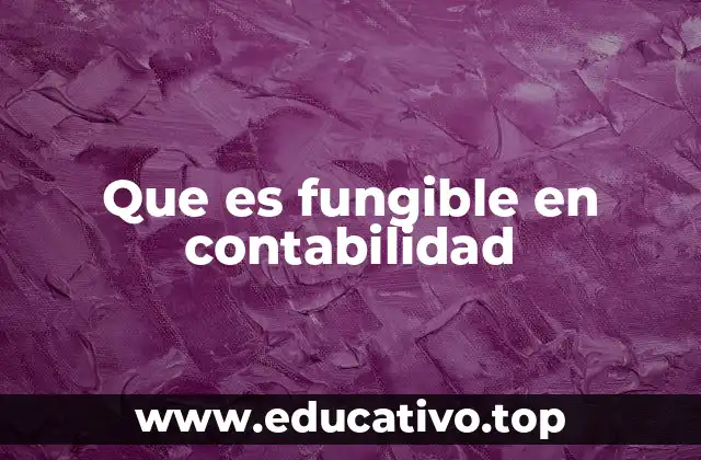 Que es fungible en contabilidad