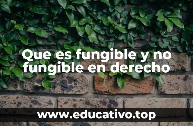Diferencias entre fungibles y no fungibles en el derecho civil
