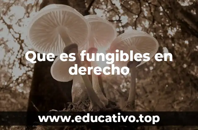 Que es fungibles en derecho