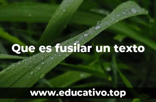 Que es fusilar un texto