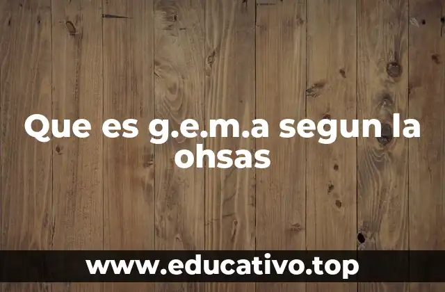 Que es g.e.m.a segun la ohsas