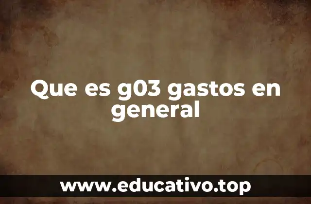 Que es g03 gastos en general