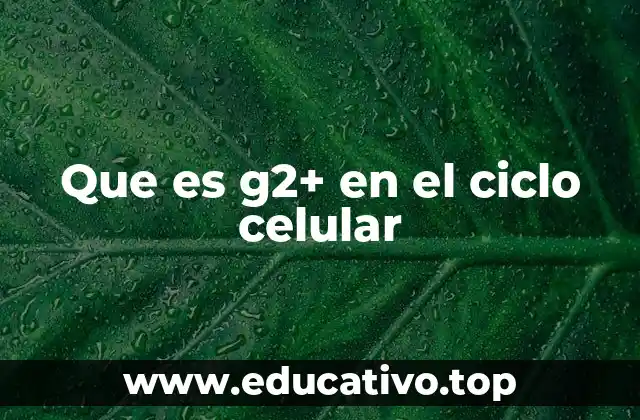 Que es g2+ en el ciclo celular