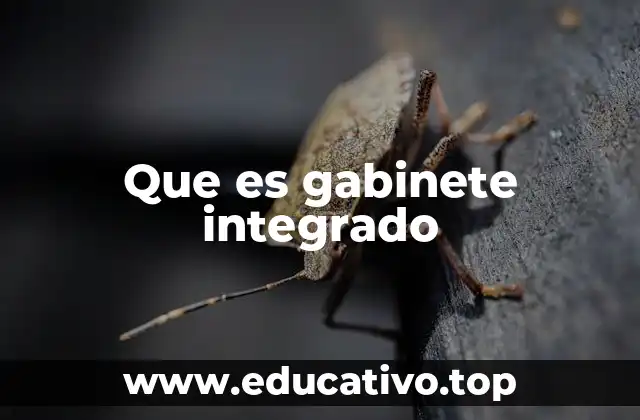 Que es gabinete integrado