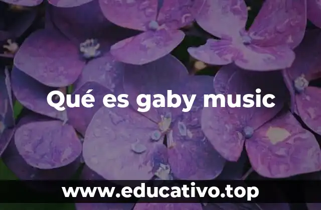 Qué es gaby music