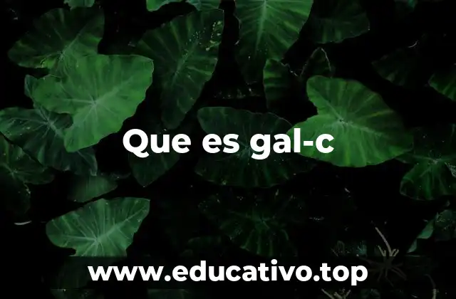 El rol del Gal-C en el sistema nervioso