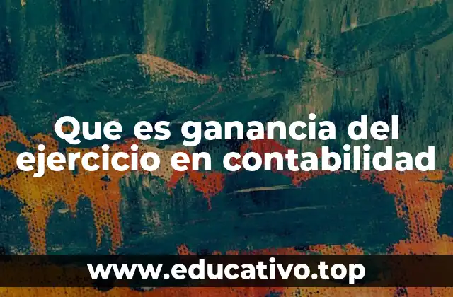 Que es ganancia del ejercicio en contabilidad