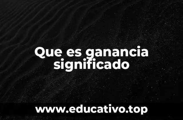 Que es ganancia significado