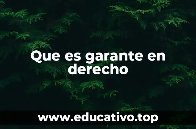 Que es garante en derecho