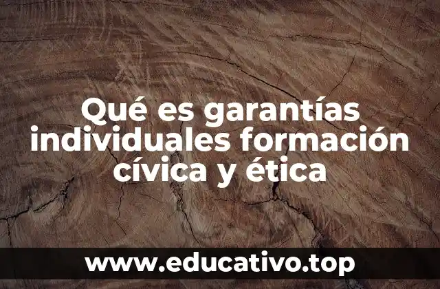 Qué es garantías individuales formación cívica y ética