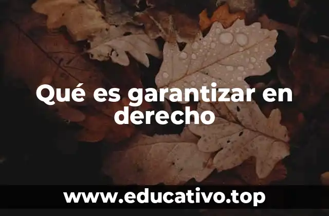 Qué es garantizar en derecho