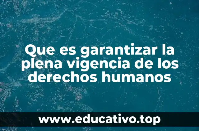 Que es garantizar la plena vigencia de los derechos humanos