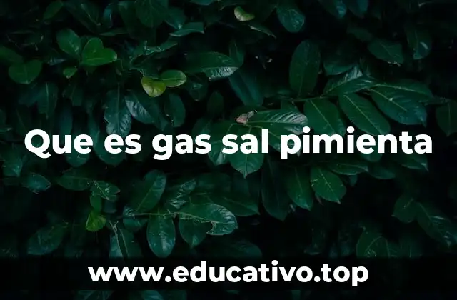 Que es gas sal pimienta