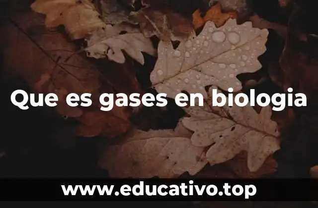 Que es gases en biologia
