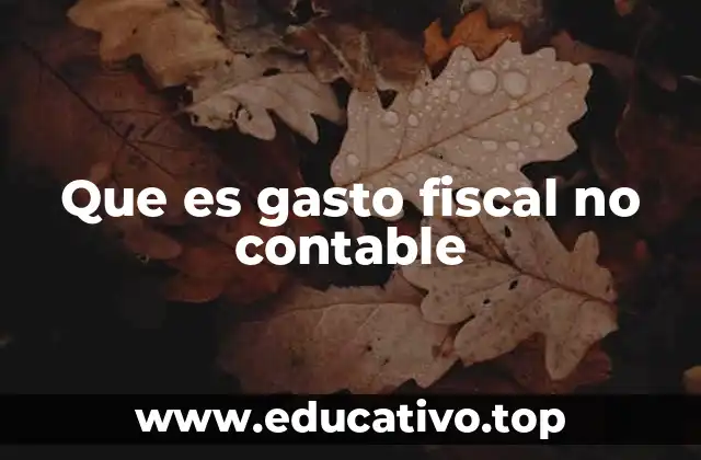 Que es gasto fiscal no contable