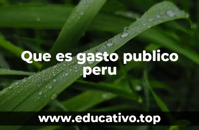 Que es gasto publico peru
