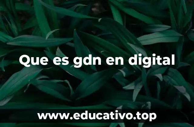 Que es gdn en digital