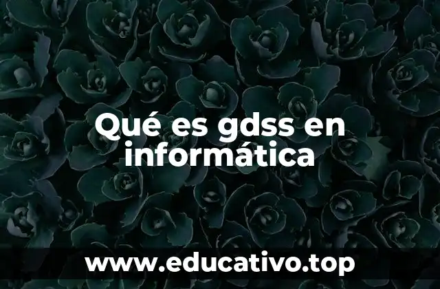Qué es gdss en informática