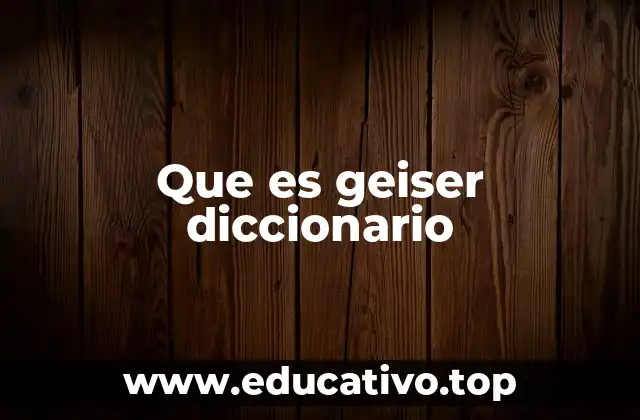 Que es geiser diccionario