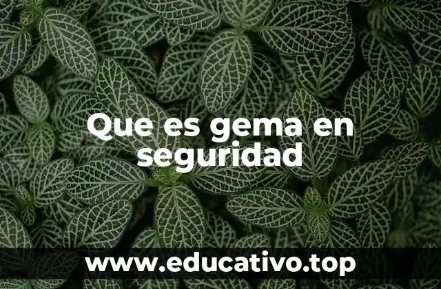 Que es gema en seguridad