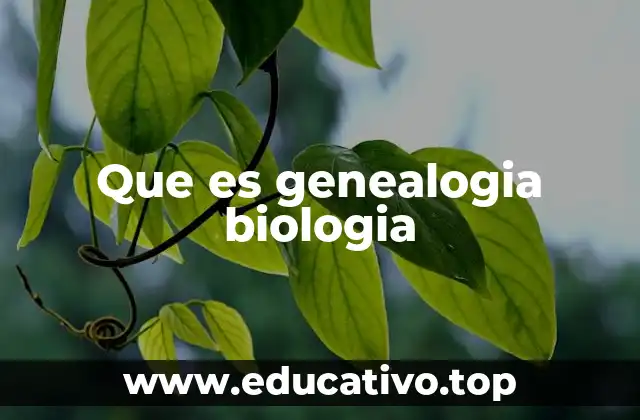 El rol de la genealogía biológica en la clasificación de los seres vivos
